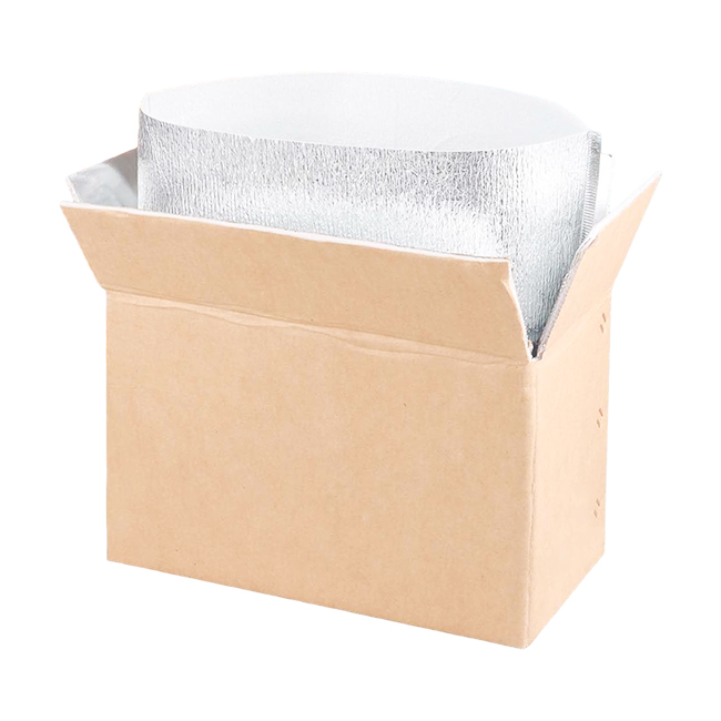 Caja de Envío con Doble Aislamiento para Productos Congelados