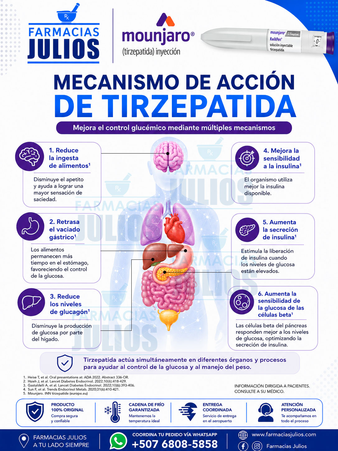 Infografía: Mecanismo de Acción de Tirzepatida (Mounjaro®) | Cómo Actúa en el Organismo para el Control Glucémico